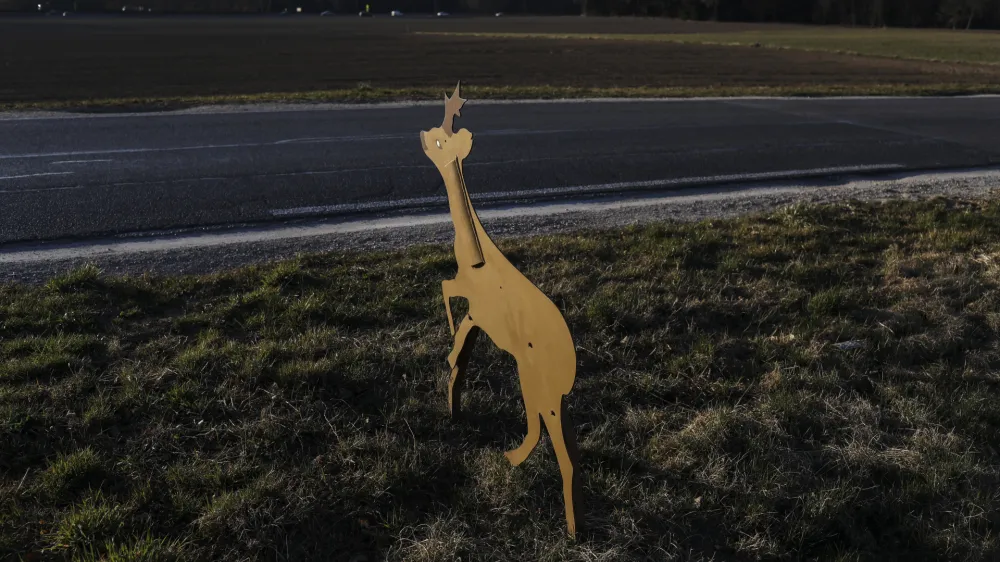 Na slovenskih cestah na&scaron;tejejo povprečno od 4900 do 6800 povoženih prostoživečih živali na leto, lani so jih blizu osem tisoč.
Foto: Jaka Gasar&nbsp;