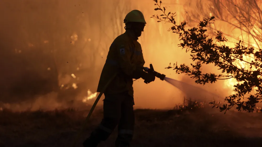 A firefighters works to stop a wildfire in Gouveia, in the Serra da Estrela mountain range, in Portugal on Thursday, Aug. 18, 2022. Authorities in Portugal said Thursday they had brought under control a wildfire that for almost two weeks raced through pine forests in the Serra da Estrela national park, but later in the day a new fire started and threatened Gouveia. (AP Photo/Joao Henriques)