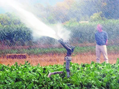 namakanje, kropljenje zalivanje------3k