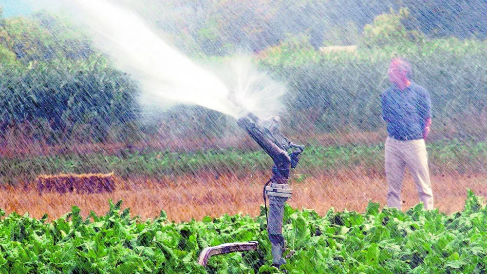 namakanje, kropljenje zalivanje------3k