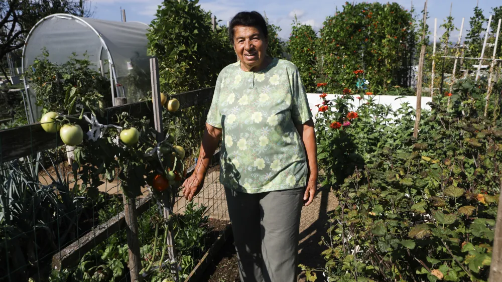 Gospa Mira Babić, ki ima svoj vrtiček pri Glinškovi ploščadi, posledic suše na svojem vrtičku ni opazila.