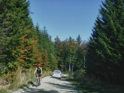V zasebnih gozdovih po &scaron;tevilu prevladujejo posestniki z manj kot hektarjem gozda. Tak&scaron;nih je 65,3 odstotka, njihova posest pa obsega le dobrih pet odstotkov povr&scaron;ine vseh gozdov. Tako po &scaron;tevilu kot po povr&scaron;ini je največ lastnikov gozdov starih med 60 in 75 let.&nbsp;