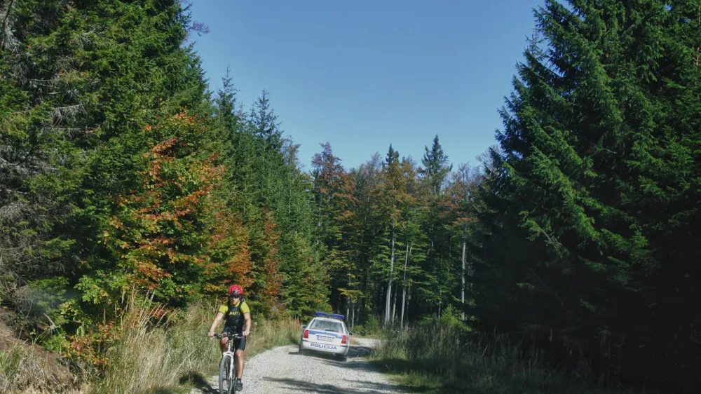 V zasebnih gozdovih po &scaron;tevilu prevladujejo posestniki z manj kot hektarjem gozda. Tak&scaron;nih je 65,3 odstotka, njihova posest pa obsega le dobrih pet odstotkov povr&scaron;ine vseh gozdov. Tako po &scaron;tevilu kot po povr&scaron;ini je največ lastnikov gozdov starih med 60 in 75 let.&nbsp;