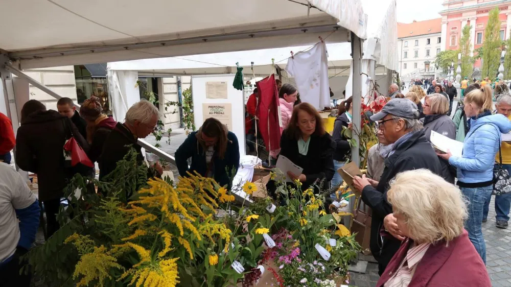 Festival invazivnih rastlin