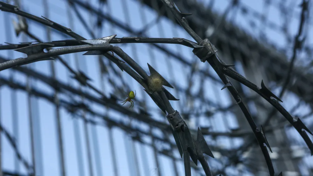 ﻿- 18.06.2018 - simbolična fotografija rezilna žicazapiranje mejnega prehoda - mejni prehod Žuniči v občini Črnomelj - (slovensko - hrvaška ilegalna meja), reka Kolpa - panelna ograja - - Migranti 2018 – nova migrantska balkanska pot iz Makedonije preko Kosova, Črne gore, Bosne in Hercegovine proti zahodni Evropi - džamijska begunska pot - begunci -  //FOTO: Luka Cjuha
