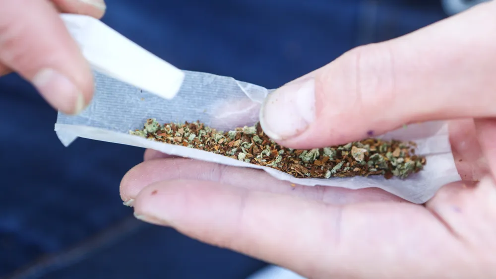 ﻿Zvijanje jointa, marihuana, kajenje marihuane, indijska konoplja- 22.04.2015 - Marihuana marš 2015 - tradicionalni shod proti prohibiciji konoplje in za liberalizacijo zakonskega področja prepovedanih drog v organizaciji Študentske organizacije Univerze v Ljubljani;  //FOTO: Bojan Velikonja