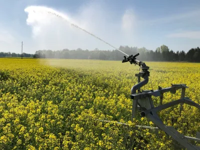 Namakanje je že desetletja najbolje urejeno na območju Ormoža. Strokovnjaki to pripisujejo predvsem odnosu lokalne skupnosti in njenega vodstva do namakanja in kmetijske pridelave. Foto: osebni arhiv Primoža Krabonje