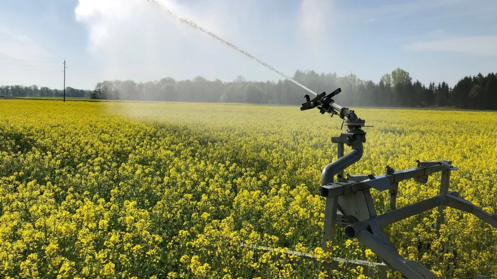 Namakanje je že desetletja najbolje urejeno na območju Ormoža. Strokovnjaki to pripisujejo predvsem odnosu lokalne skupnosti in njenega vodstva do namakanja in kmetijske pridelave. Foto: osebni arhiv Primoža Krabonje