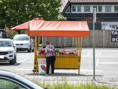 Sadje, obcestna stojnica. Foto: Matjaž Ru&scaron;t