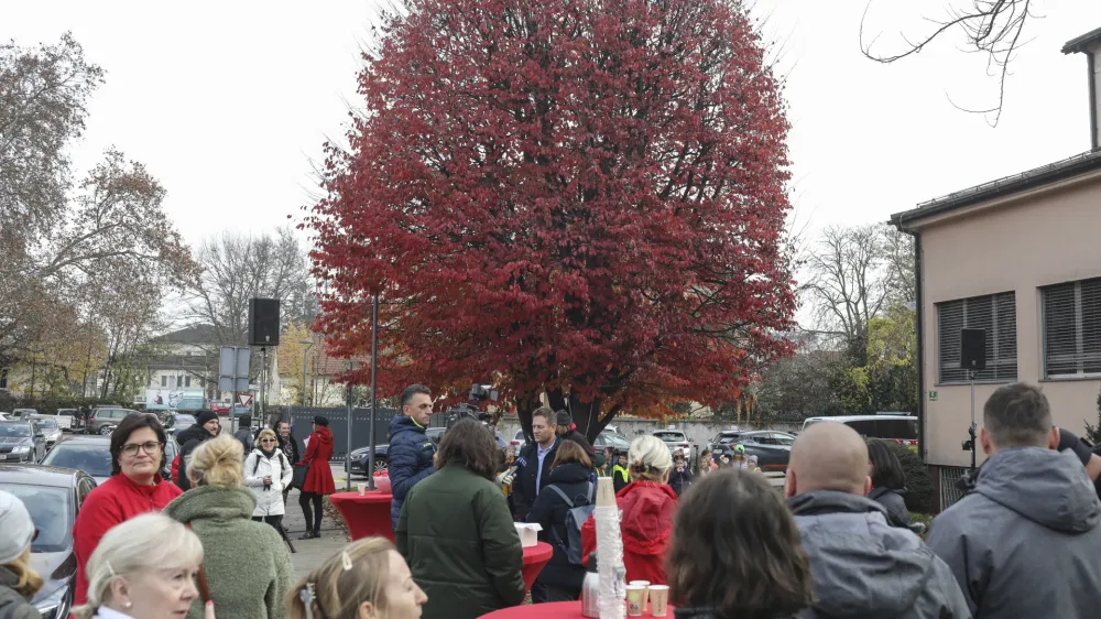 - 28.11.2022 – Drevo leta 2022 - Perzijska bukev na zelenici pred zavodom za transfuzijsko medicino, Šlajmerjeva 6 v Ljubljani  //FOTO: Jaka Gasar