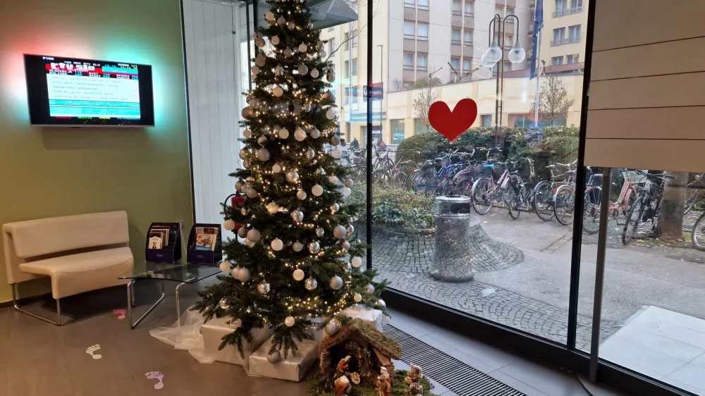 Smrekica v avli RTVSlo