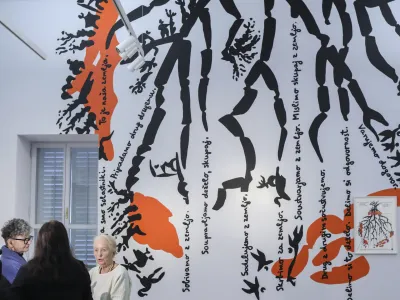 Marjetica Potrč, svetovno znana multidisciplinarna umetnica in arhitektka, v Mestni galeriji Piran gostuje z razstavo Voda in zemlja. Foto: Jaka Gasar