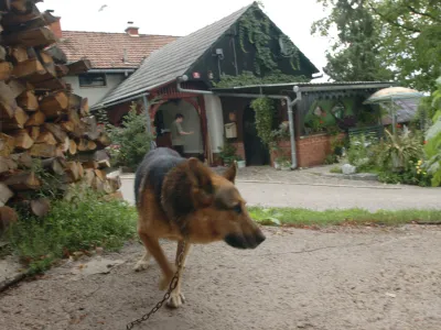 Psi na kmetijah lahko ostanejo na verigi, vendar le, če je vodilo dolgo najmanj pet metrov in je vsaj dva metra nad tlemi, privez pa mora psu omogočati najmanj štiri metre gibanja v obe stranski smeri od vodoravnega vodila.