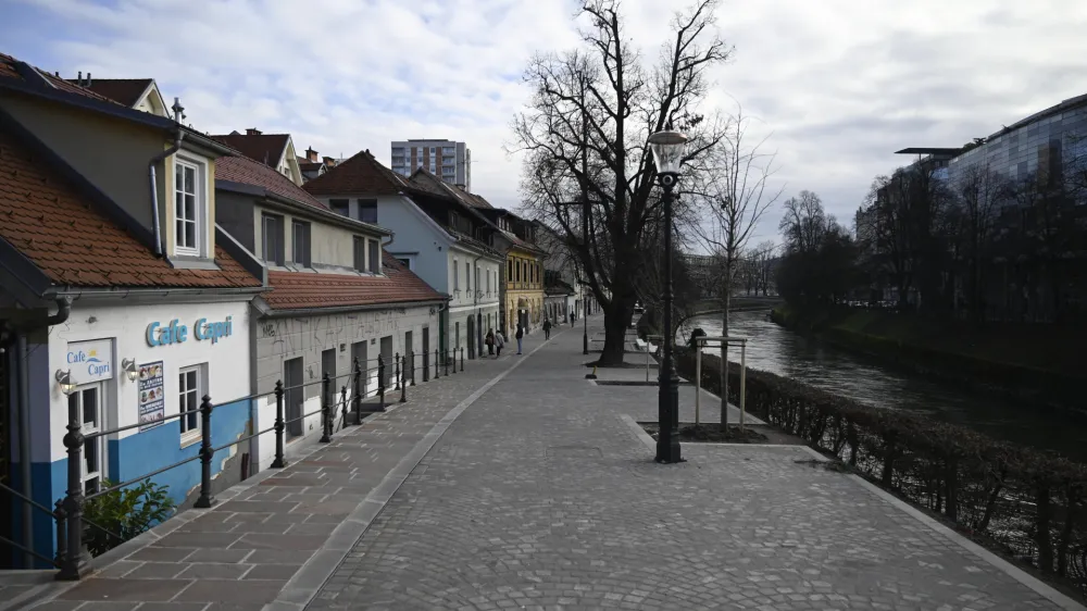 - 10.01.2023 - Petkovškovo nabrežje – obnovljen drevored - //FOTO: Nik Erik Neubauer