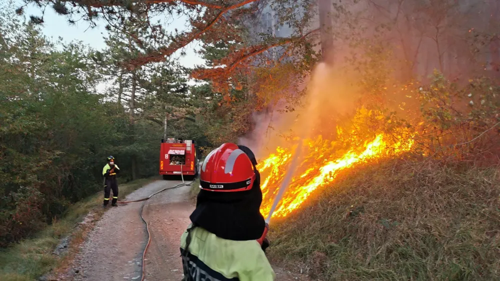 Lansko leto je zaznamoval požar na goriškem Krasu, zato ni nenavadno, da je beseda leta postala beseda gasilec. 