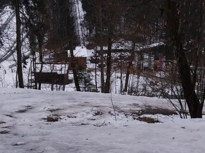 Poledica na Rožniku