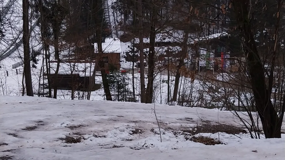 Poledica na Rožniku