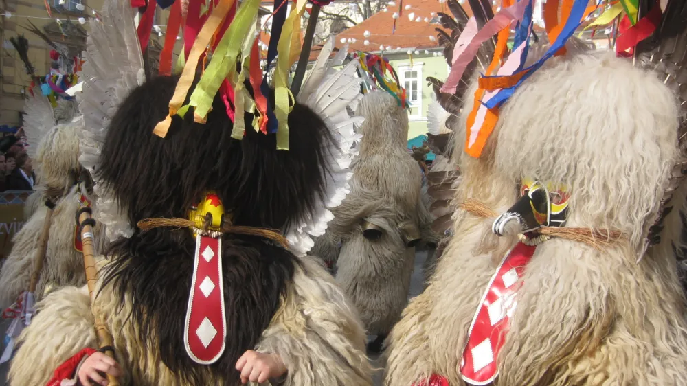 Kurentovanje na Ptuju