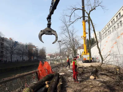 - sečnja prvih treh lip - - 22.03.2023 – Petkovškovo nabrežje – obnova drevoreda - odstranjevanje nestabilnih dreves med Resljevo in Rozmanovo ulico - //FOTO: Tomaž Skale