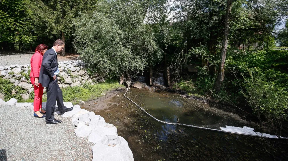 Lani je Kemis zbral 24.035 ton vseh odpadkov, od katerih jih je bilo 60 odstotkov nevarnih, 40 odstotkov pa nenevarnih. Na fotografiji: Miro Cerar, leta 2017 predsednik vlade, si ogleduje posledice požara v vrhni&scaron;kem Kemisu.