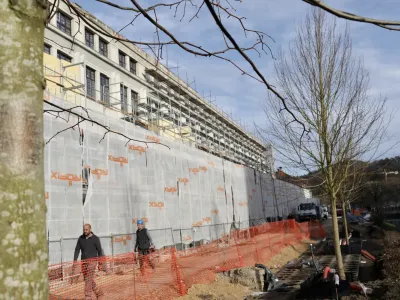 Rog, Petkovškovo nabrežje, drevesa, 