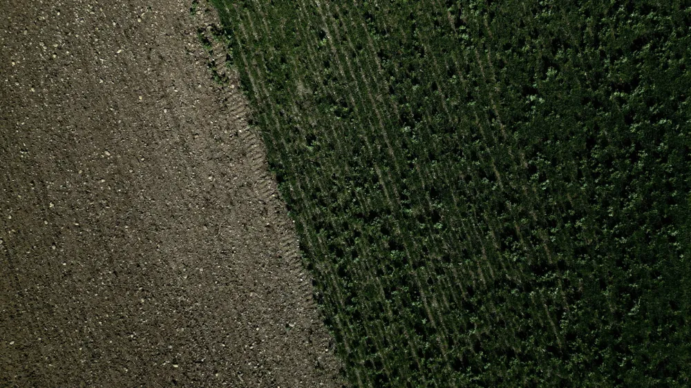 Fields are seen in Saverdun as France faces records winter dry spell raising fears of another summer of droughts and water restrictions, March 16, 2023. REUTERS/Sarah Meyssonnier