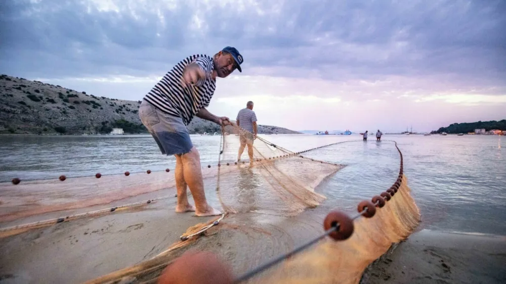 Vlečenje ribiške mreže na Loparju