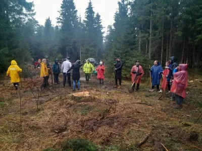 Prostovoljci so v Mošah na degradiranem območju zaradi napada podlubnikov posadili tisoč drevesc hrasta in gorskega javorja.