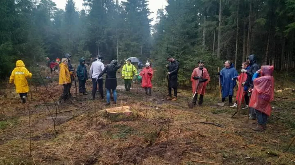 Prostovoljci so v Mošah na degradiranem območju zaradi napada podlubnikov posadili tisoč drevesc hrasta in gorskega javorja.