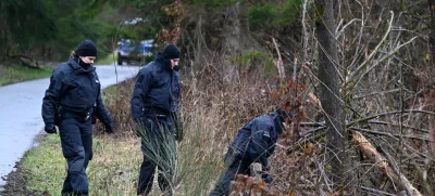 Truplo 12-letne Luise so sredi marca našli v gozdu blizu njenega doma. Umorili sta jo 12 in 13 let stari vrstnici. Vzrok naj bi bilo maščevanje zaradi prepira na tiktoku. 