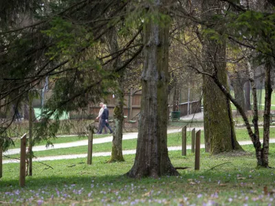 ﻿- 21.03.2017 - Park Tivoli - Mednarodni fenološki vrt, ki je bil ustanovljen leta 1959 in sodi v mednarodno mrežo evropskih fenoloških vrtov in je edini tovrstni park v Sloveniji - proučevanje podnebnih sprememb in njihov vpliv na rastline - fenološka opazovanja - //FOTO: Matjaž Rušt