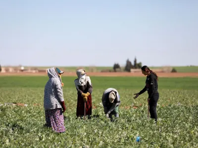 Residents work in an agriculture field near their homes in Jinwar, an all-women village, in Al-Darbasiyah town that controlled by Kurdish-led Syrian Democratic Forces, northeastern Syria, March 7, 2023. REUTERS/Orhan Qereman