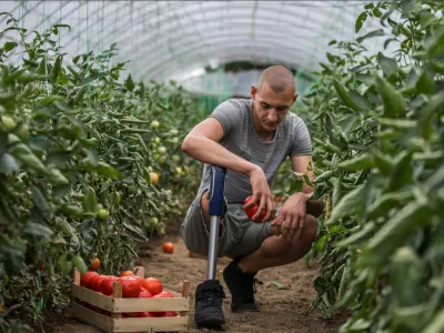 Aktivno zaposlovanje invalidov pospešuje razplete dobrih zgodb kot dokaz, da se vse da, če se hoče. Del projekta Vsi drugačni, vsi s potenciali je tudi raziskava o trenutnem stanju na področju zaposlovanja invalidov na slovenskem trgu – rezultati bodo znani že junija. 