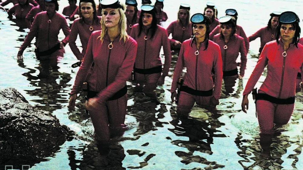 Sončni krik Režija: Boštjan Hladnik