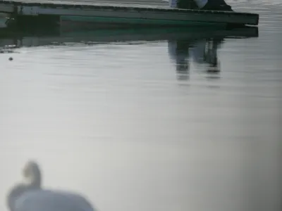 - ilustrativna fotografija-<br>Velenjsko jezero- Mesto Velenje - 50 let mesta//FOTO: Matej PovšeOPOMBA: ZA OBJAVO V PRILOGI – DNEVNIKOV OBJEKTIV - REPORTAŽA