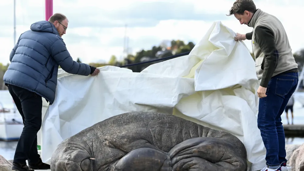 Walrus expert Rune Aae left. and initiator Erik Holm, right, unveil a skulpture of the walrus 'Freya' in Oslo, Norway, Saturday, April 29, 2023. The walrus Freya was euthanized by the Directorate of Fisheries in August 2022. The reason was that the public did not follow the recommendations from the authorities to keep their distance from the 600-kilogram animal. (Annika Byrde/NTB Scanpix via AP)