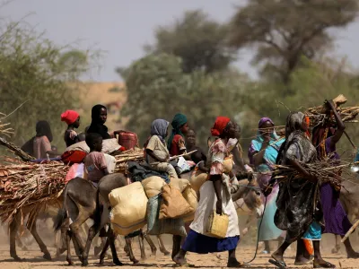Sudanese refugees who fled the violence in Sudan's Darfur region and newly arrived ride their donkeys looking for space to temporarily settle, near the border between Sudan and Chad in Goungour, Chad May 8, 2023. REUTERS/Zohra Bensemra