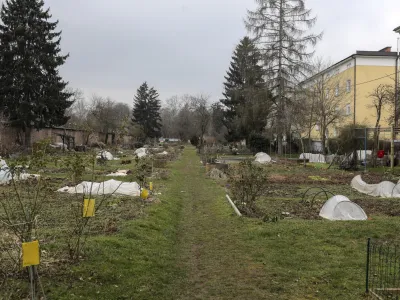 - 06.03.2023 - vrtovi pri Fondovih blokih – stavba pri Plečnikovem stadionu ob Celovški cesti v Ljubljani //FOTO: Jaka Gasar