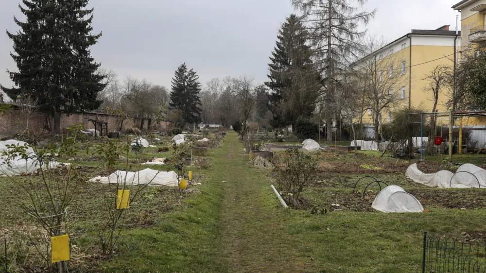 - 06.03.2023 - vrtovi pri Fondovih blokih – stavba pri Plečnikovem stadionu ob Celovški cesti v Ljubljani //FOTO: Jaka Gasar