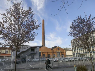 Slomškova - 04.04.2023 - pomlad v mestu – cvetenje - //FOTO: Luka Cjuha