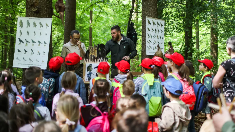 - 23.05.2023 - Vseslovenski Teden gozdov 2023 na temo Gozdovi prihodnosti - Prireditev "Gozd, voda in mlinček", Sračja dolina pri Črnučah - potok Črnušnjica //FOTO: Bojan Velikonja