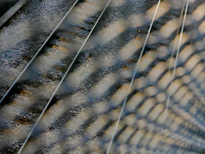 ﻿simbolična fotografija, železnica, Slovenske železnice, proga, drugi tir  //FOTO: Bojan Velikonja