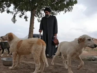Sayed Mahdi Tabatabaei svojim več kot 80.000 sledilcem redno objavlja srce parajoče zgodbe o zlorabljenih in zanemarjenih psih, ki jih zdravi v svojem zavetišču.