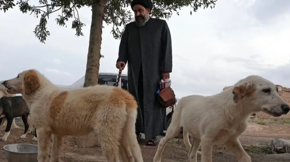 Sayed Mahdi Tabatabaei svojim več kot 80.000 sledilcem redno objavlja srce parajoče zgodbe o zlorabljenih in zanemarjenih psih, ki jih zdravi v svojem zavetišču.