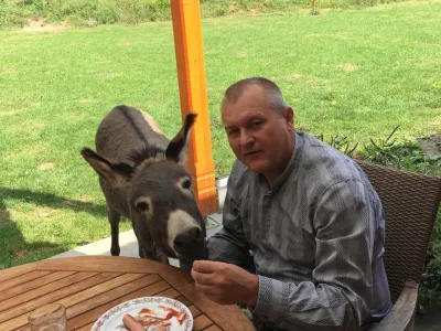 Franc Kangler ne ve, kaj bi bilo lahko narobe s tem, če bi policistu podaril osla. F instagram