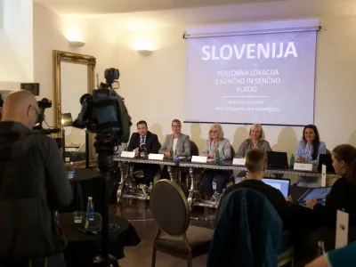 Slovensko-nemška gospodarska zbornica 