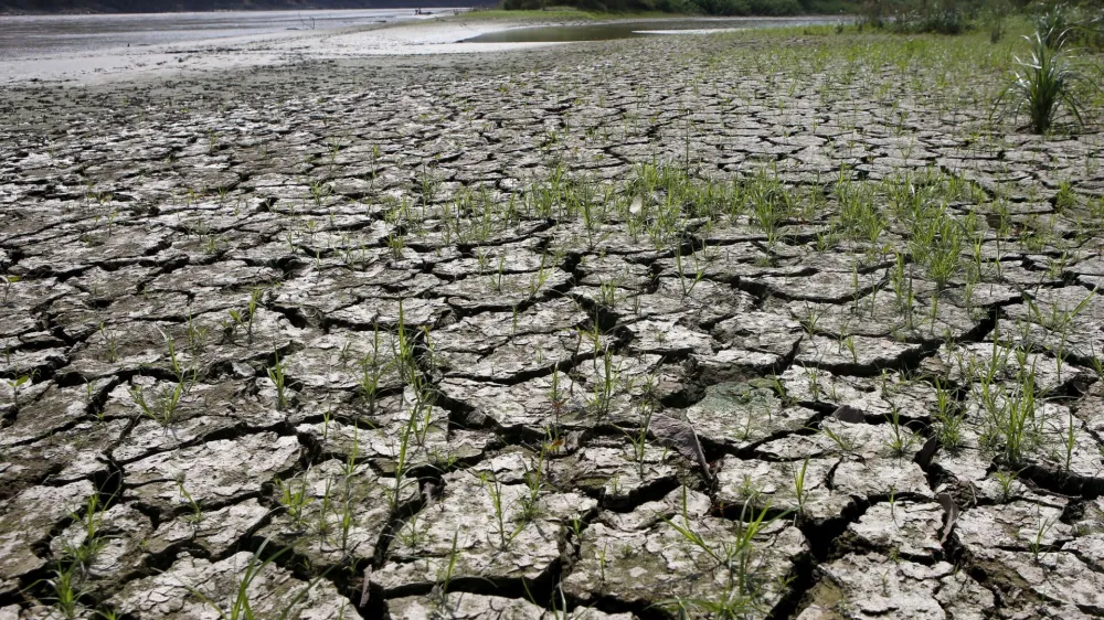 FILE PHOTO: An area is uncovered by the lowering of the water level from the Magdalena river, the longest and most important river in Colombia, due to the lack of rain, in the city of Honda, January 14, 2016. While flooding and intense rain wreak havoc on several countries in Latin America, El Nino brings other harmful effects to Colombia with severe drought. Picture taken January 14, 2016. REUTERS/John Vizcaino/File Photo