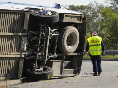 Police inspect underneath a bus that rolled onto its side near Greta in the Hunter Valley, north of Sydney, Australia, Monday, June 12, 2023. The bus carrying wedding guests rolled over on a foggy night in Australia's wine country, killing and injuring multiple people, police said. (AP Photo/Mark Baker)