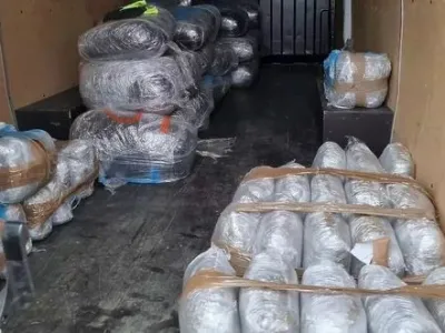 V razbitju kriminalne združbe so med drugim zasegli okoli 300 kilogramov konoplje. 