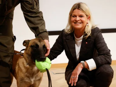 ﻿Austria's Defence Minister Klaudia Tanner pets Fantasy, a sniffer dog trained to detect the coronavirus disease (COVID-19), next to a trainer during a news conference in Vienna, Austria November 2, 2021. REUTERS/Leonhard Foeger